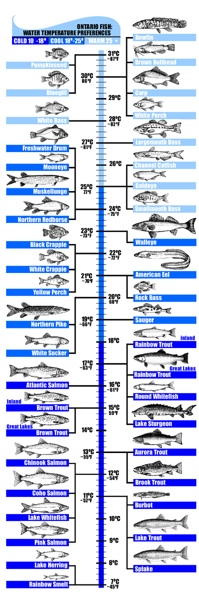 Fish Water Temperature Preferences. Source: Unknown